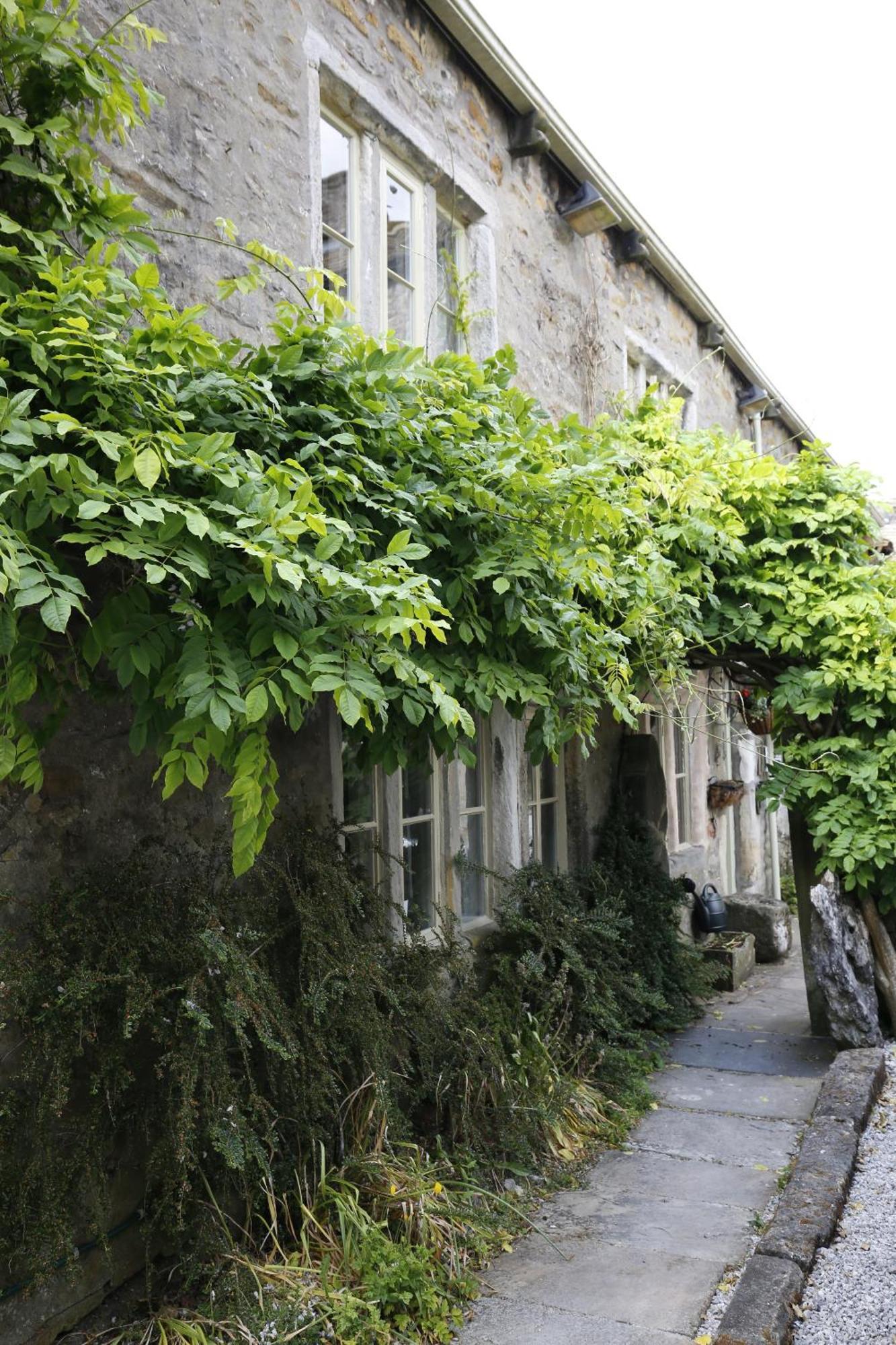 Ashfield House Hotell Grassington Exteriör bild A climbing vine
